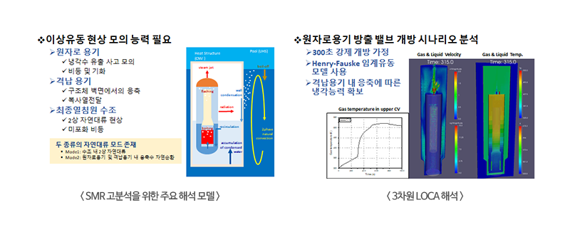 SMR 사고분석을 위한 주요 해석 모델 / 3차원 LOCA 해석