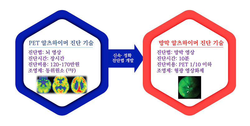 PET 알츠하이머 진단 기술
진단법: 뇌 영상
진단시간: 장시간
진단비용:120~170만원
조영제: 동위원소 (18F)
신속정확 진단법 개발
망막 알츠하이머 진단 기술
진단법: 망막 영상
진단시간: 10분
진단비용: PET 1/10 이하
조영제: 형광 영상화제