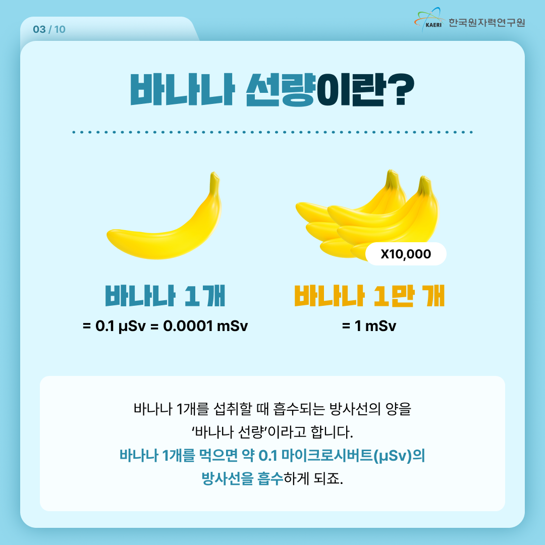 바나나 선량이란? / 바나나 1개 = 0.1uSv=0.0001mSv / 바나나 1만개 = 1 mSv / 바나나 1개를 섭취할 때 흡수되는 방사선의 양을 ‘바나나 선량’이라고 합니다. 바나나 1개를 먹으면 약 0.1 마이크로시버트의 방사선을 흡수하게 되죠.