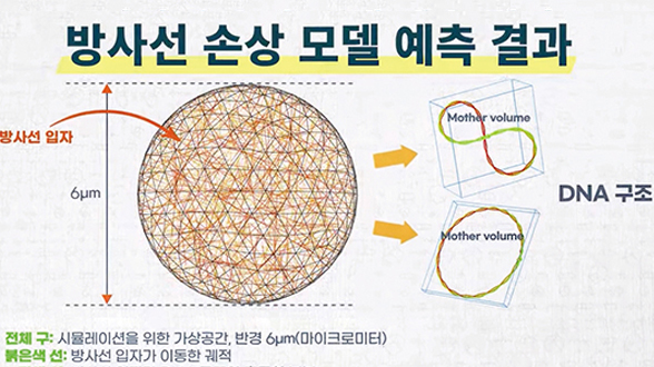 낮아지는 사고 위험성