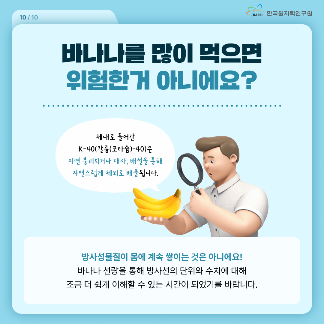 바나나 많이 먹으면 위험한 거 아니에요? / 체내로 들어간 K-40(칼륨(포타슘)-40)은 자연 붕괴되거나 대사, 배설을 통해 자연스럽게 체외로 배출됩니다. / 방사성물질이 몸에 계속 쌓이는 것은 아니에요! 바나나 선량을 통해 방사선의 단위와 수치에 대해 조금 더 쉽게 이해할 수 있는 시간이 되었기를 바랍니다.