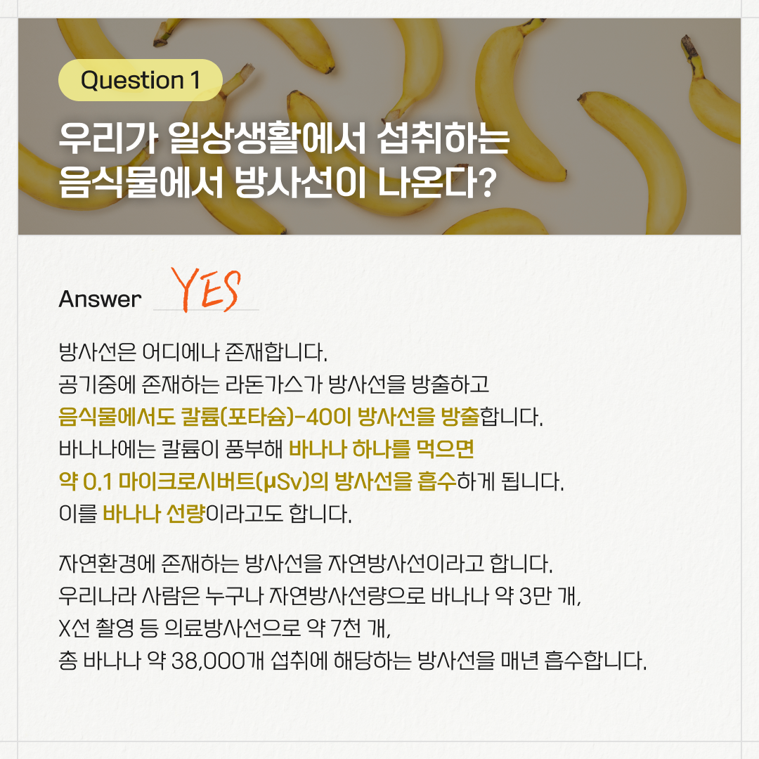 Question 1. 우리가 일상생활에서 섭취하는 음식물에서 방사선이 나온다? / Answer. YES / 방사선은 어디에나 존재합니다. 공기 중에 존재하는 라돈가스가 방사선을 방출하고 음식물에서도 칼륨(포타슘)-40이 방사선을 방출합니다. 바나나에는 칼륨이 풍부해 바나나 하나를 먹으면 약 0.1 마이크로시버트의 방사선을 흡수하게 됩니다. 이를 바나나 선량이라고도 합니다. 자연환경에 존재하는 방사선을 자연방사선이라고 합니다. 우리나라 사람은 누구나 자연방사선량으로 바나나 약 3만 개, X선 촬영 등 의료방사선으로 약 7천 개, 총 바나나 약 38,000개 섭취에 해당하는 방사선을 매년 흡수합니다.